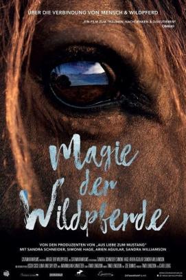 Magie der Wildpferde