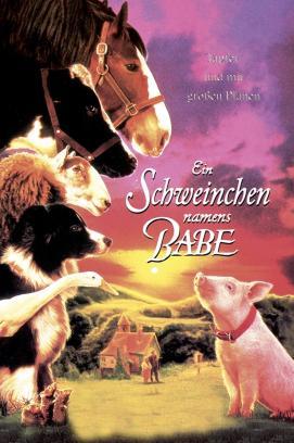 Ein Schweinchen namens Babe