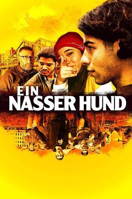 Ein nasser Hund