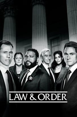 Law & Order - Staffel 22